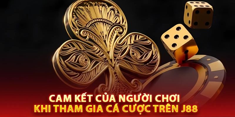 Quyền hạn và nghĩa vụ của người dùng tại J88