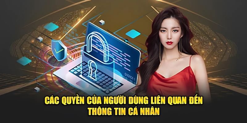 Quyền lợi người dùng trong chính sách cá nhân